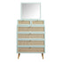 files/FT-COD-MIRR-04-SAGE_WB1.jpg