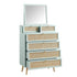 files/FT-COD-MIRR-04-SAGE_WB3.jpg