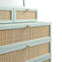 files/FT-COD-MIRR-04-SAGE_detail1.jpg