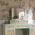 files/FT-MIRR-04-SAGE_scene2.jpg