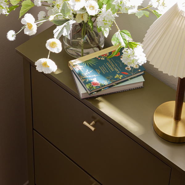 Oakham 3-Tier Shoe Cabinet, Olive Grove